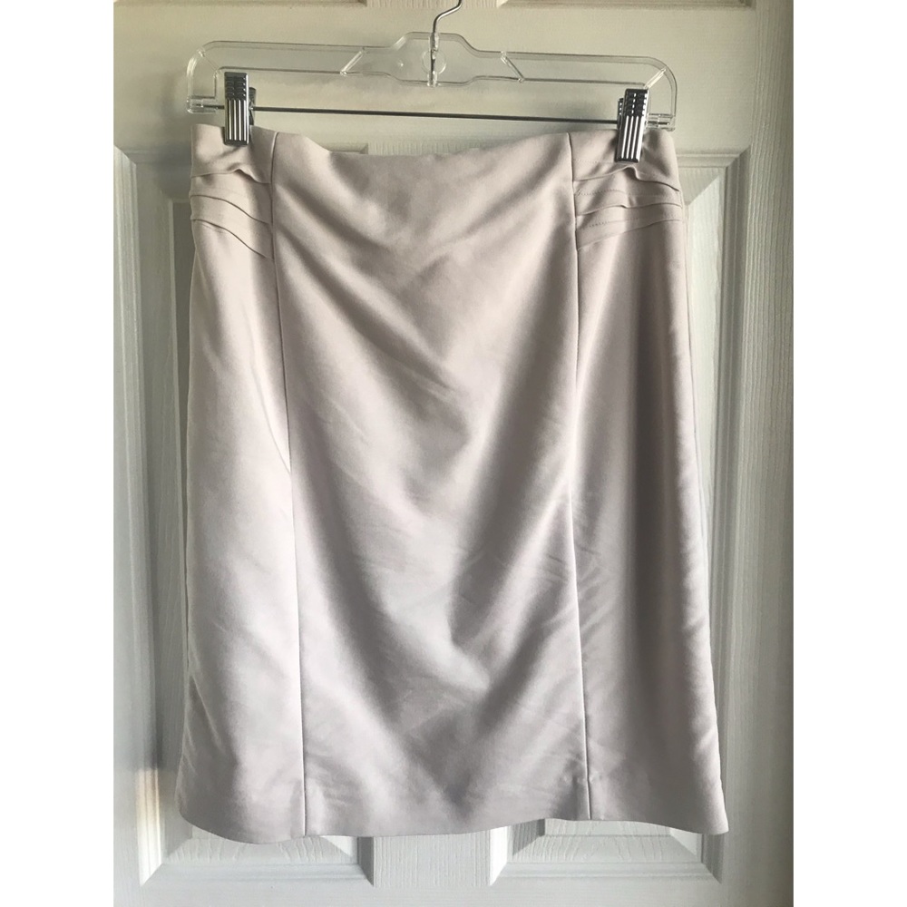 Express Pencil Skirt
